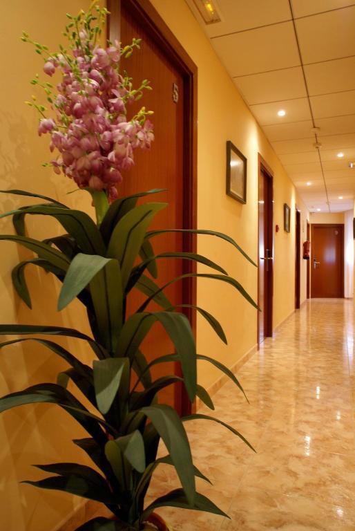 Hotel Mont-Roig 外观 照片